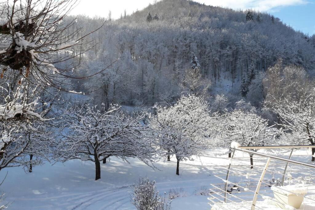 Gite "Entre Champsaur Et Valgodemard" Saint-Jacques-en-Valgodemard Eksteriør bilde