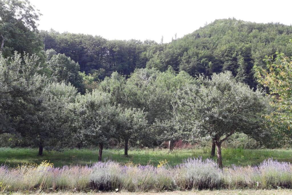 Gite "Entre Champsaur Et Valgodemard" Saint-Jacques-en-Valgodemard Eksteriør bilde