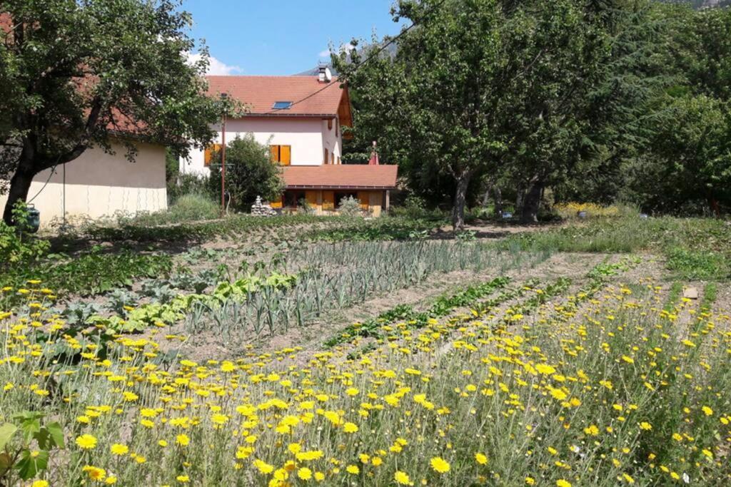 Gite "Entre Champsaur Et Valgodemard" Saint-Jacques-en-Valgodemard Eksteriør bilde
